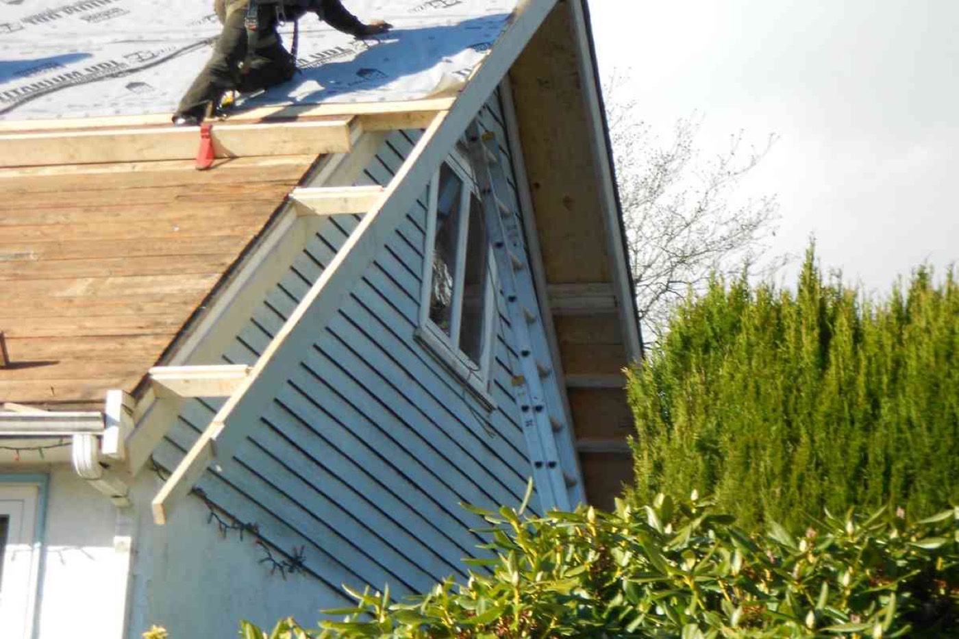 Home with a finished roof